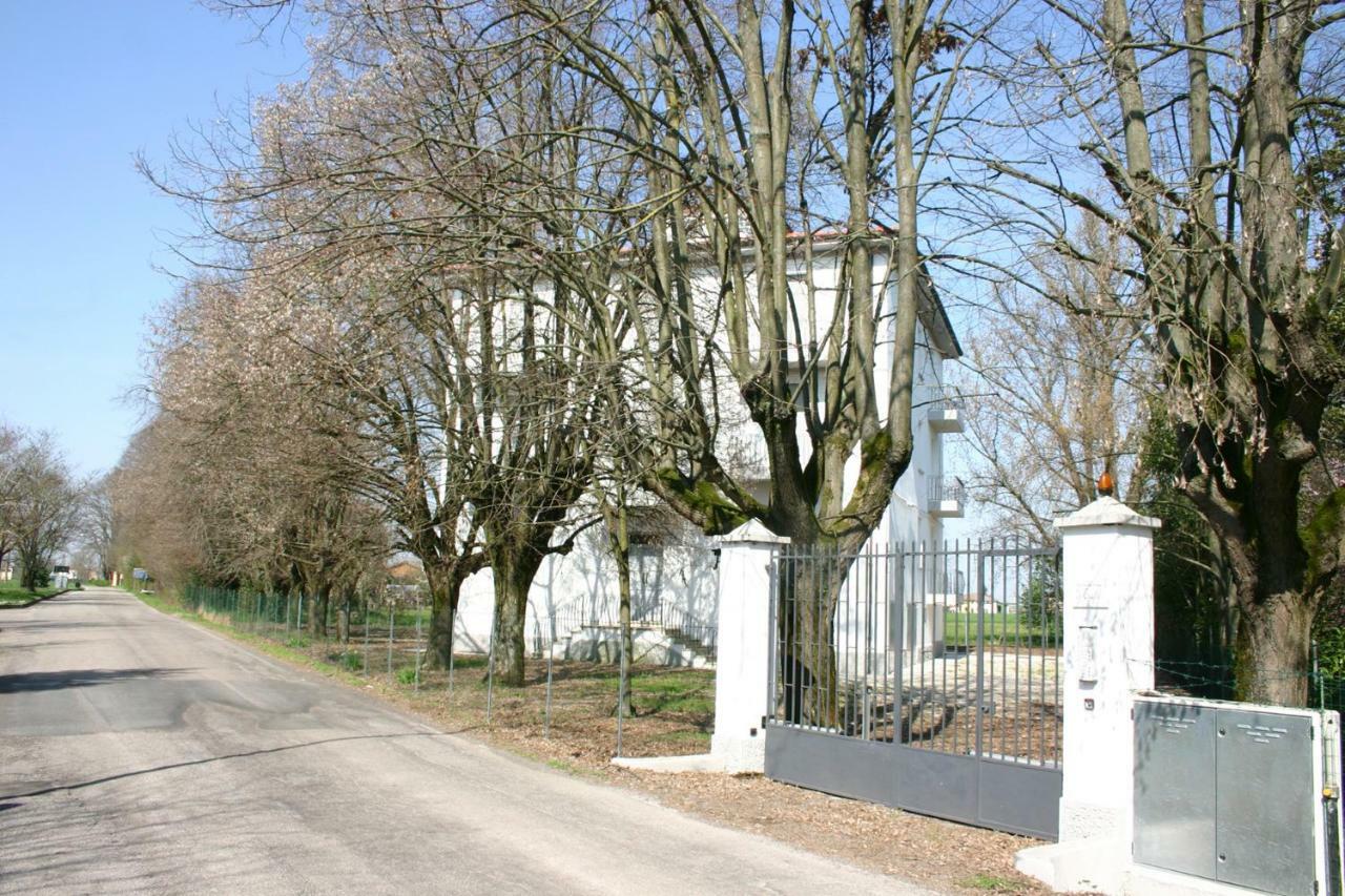 Villa Dei Tigli San Vicenzo di Galliera Kültér fotó